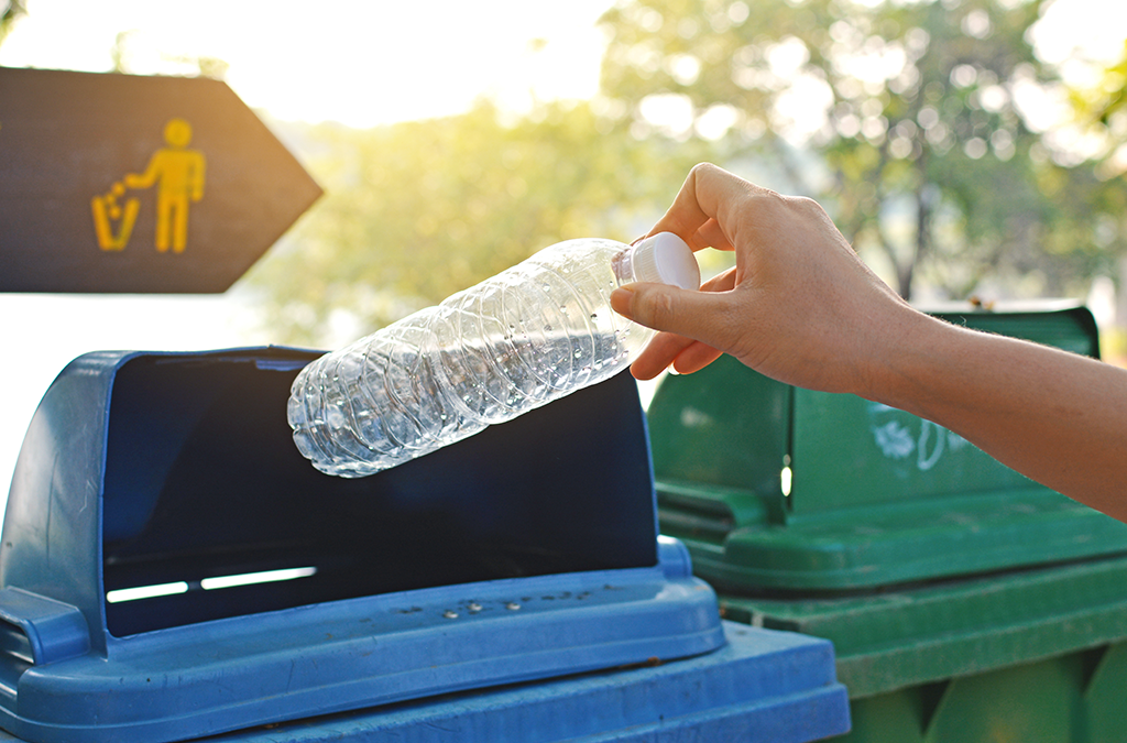 America Recycles Day: A Key Time to Focus on Consumer Education